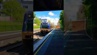 Endeavour N set arriving at Bowral with old city rail livery nswtrains regionaltrains automobile [upl. by Sordnaxela239]