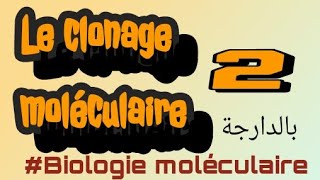 le clonage moléculaire PART II  بالعربية الدارجة [upl. by Ylus]