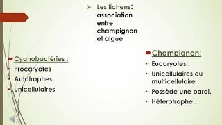 les thallophytes [upl. by Audri]