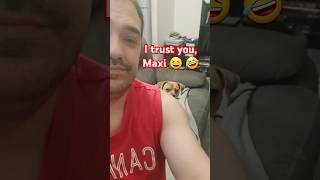 Will My Dog Maxi Lick or Bulldoze My Face 😂  Cute Dog Moment maxi adorabledog [upl. by Ennaul]