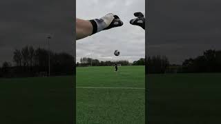 GOALKEEPER POV 🎥 goalkeeper [upl. by Perry153]