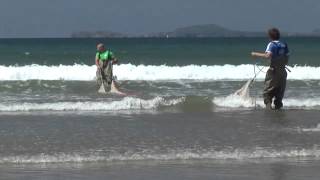 Visit Pembrokeshire  Seine Fishing [upl. by Erreit]