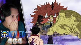 OARS JR VS WARLORDS  One Piece Episode 464 Reaction [upl. by Anuayek]