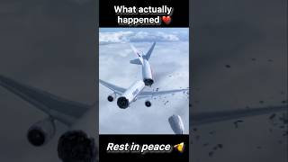 Saddest Moments in Aviation  MH17 [upl. by Malik]