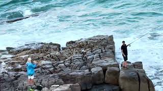 Rock fishing at Point Arkwright Queensland [upl. by Siloa436]