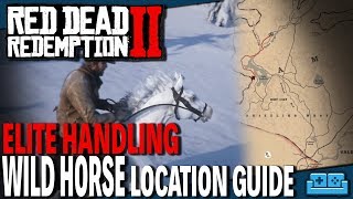 RED DEAD REDEMPTION 2  ELITE HANDLING WILD HORSE LOCATION GUIDE [upl. by Nairde]