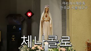 수요일 59 기도하면서 내 말에 순종해라  고통의 신비 [upl. by Sakram]