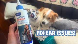 Virbac EpiOtic Advanced Ear Cleanser for Dogs amp Cats  Treating Yeast Bacteria and Wax for Dogs [upl. by Iderf]