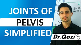 Joints of Pelvis  Pelvic Joints  Ligaments of Pelvis [upl. by Anavrin]