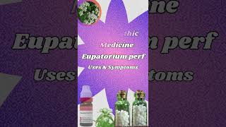 Eupatorium perf Homeopathic Medicine  Eupatorium perf 30  200  benefits Identifying Symptoms [upl. by Lhamaj]