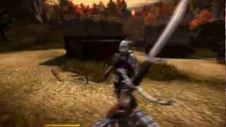 Chivalry Flamberge Tutorial [upl. by Oiciruam]