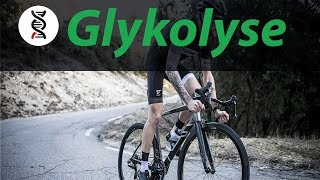 GLYKOLYSE einfach erklärt ABITUR  studyrunner [upl. by Astera811]