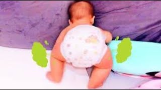 Try Not to Laugh  Lovely Moments When Babies Fart 1  FUNNY BABY [upl. by Crowns562]