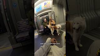 Train interactions with my dog youtubeshorts train travel subway tube viral pet beautiful [upl. by Iruyas332]