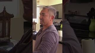 Cesar Millan Training Jealous Dogs dogwhisperer dogs [upl. by Lucille]