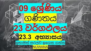 grade 9 maths233 අභ්‍යාසය23 වර්ගඑලය nuwana [upl. by Demaggio]