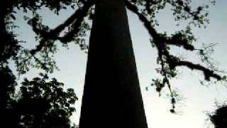 Tikal winter solstice eclipse Mayan ceremony 2010avi [upl. by Ahtilat]