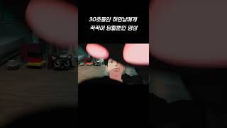 그냥 30초동안 하민이한테 꾹꾹이 당하는 영상🐈‍⬛🖤 플레이브 PLAVE 하민 HAMIN 하민냥이 꾹꾹이 하민생일 [upl. by Klemperer]