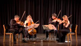 Leo Weiners Divertimento No1 Op 20 performed by European Quartet [upl. by Isnan]