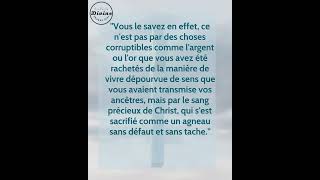 Verset Biblique Du Jour  1 Pierre 11819  Rachetés par le précieux sang de Christ [upl. by Annoed417]