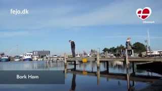 Urlaub am Ringkøbing Fjord in Bork Havn Dänemark [upl. by Asreht908]