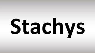 How to Pronounce Stachys [upl. by Hcir]