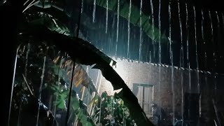 🔴 Heavy Rain on a Tin Roof for Sleeping 247 Sleep Instantly with Rain Sounds amp Thunder at Night [upl. by Freemon619]