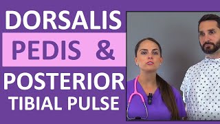 Dorsalis Pedis and Posterior Tibial Pulse Point Nursing Assessment [upl. by Ahsirkal]