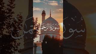 Ajan Mokka sorts islamicvideo foryou madina tiktok muftinazrulislamkasemi viralvideo [upl. by Aika]