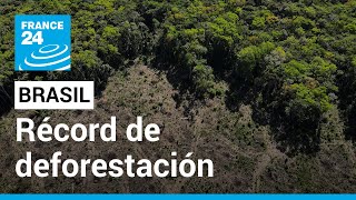 Brasil bate su propio récord de deforestación en la Amazonía en la primera mitad de 2022 [upl. by Nyleahcim]