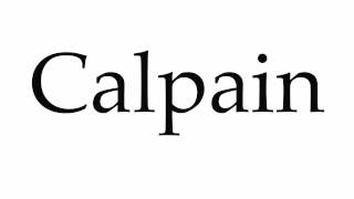 How to Pronounce Calpain [upl. by Kuth]