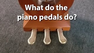 What do the pedals on a piano do  Cunningham Piano Company Philadelphia King of Prussia PA [upl. by Tareyn]