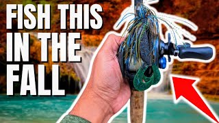 CATCH BIG fall BASS with this Lure [upl. by Aronoel95]