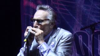 2015 White Mountain Boogie And Blues Rick Estrin Harp Trick [upl. by Enael784]