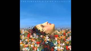 The Pineapple Thief  Steal This Life [upl. by Nimajnab]