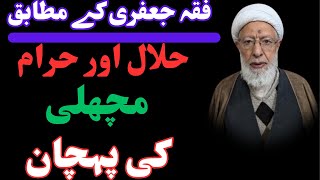 FIQHI JAFFARI K MUTABIQ  HALAL OR HARAM MASHLE FISH  KI PEHCHAN allama shifa najafi [upl. by Ydnelg70]