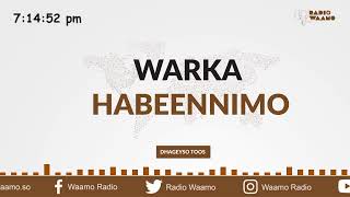 Warka Habeennimo ee Waamo Radio [upl. by Ahsircal]