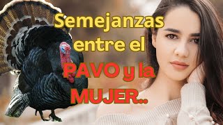 Semejanzas entre el Pavo y la MujerThanksgivingmotiventafrasesconsejosmotivaciónreflexión [upl. by Annenn]