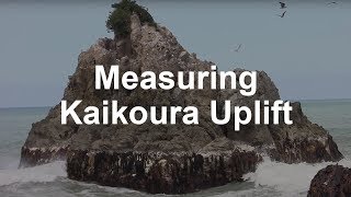 Measuring uplift along the Kaikoura coast [upl. by Moore]