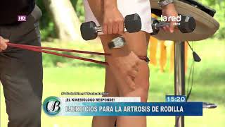 ¿Qué ejercicios hacer para la artrosis de rodilla [upl. by Atteinotna]