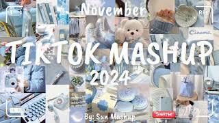 Tiktok Mashup November 💙2024💙 Not Clean [upl. by Troyes120]