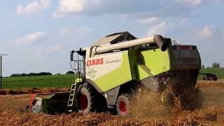 Claas Lexion 540 C beim Hafer dreschen [upl. by Hamilton]