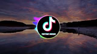 NK  ELEFANTE TikTok Music [upl. by Mackey]