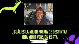 ¿Cuál es la mejor opción para despintar una mini Versión corta [upl. by Lavotsirc166]