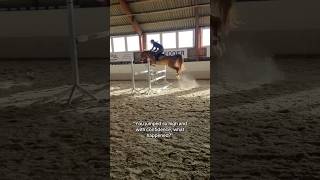 Keep going 🔥❤️‍🔥 equestrian horse horses pony pferde cheval hest trending funny hest [upl. by Anelyak]