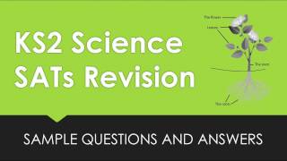 KS2 Science Revision Sample SATs Questions [upl. by Anik]