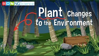 Plant Changes to the Environment [upl. by Ahtnicaj455]