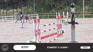 SCOTT  CSO Biarritz [upl. by Erlandson]