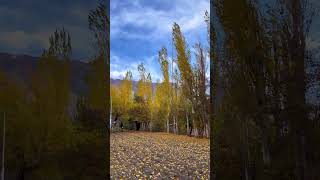 Ganzool By QashQarian Band  Autumn CHITRAL  Xia Jan xiajan beautifulchitral pakistanimusic [upl. by Ursuline672]