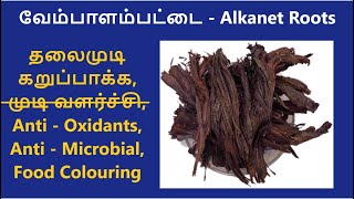 Vembalam Pattai  Benefits for Hair and Foods  வேம்பாளம் பட்டை  முடி வளர்ச்சி  மூலிகை [upl. by Lissie]